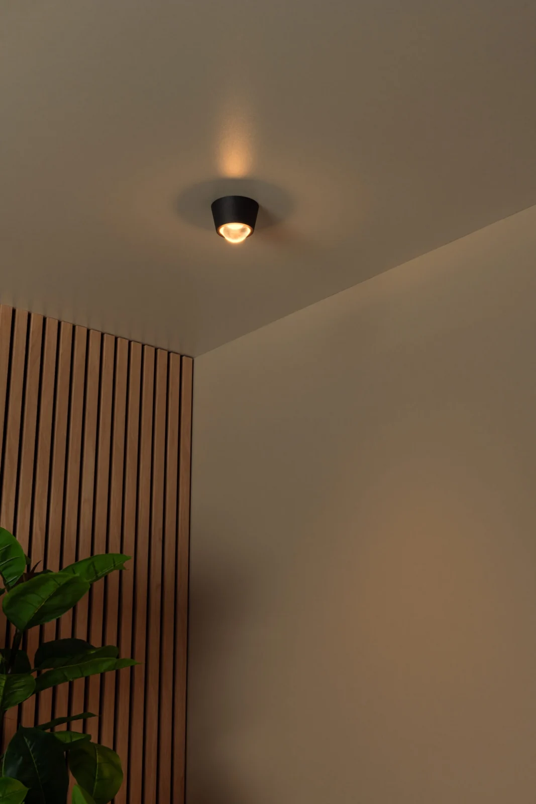 Lucide RIGON - Zapustenu00e9 stropnu00e9 svetlo - u00d8 9 cm - LED - 1x6W 3000K - u010dierna