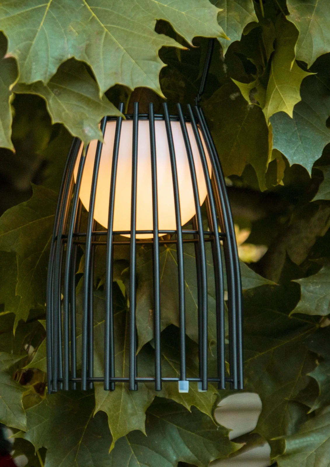 Lucide FJARA - Nabu00edjateu013enu00e1 stolnu00e1 lampa do interiu00e9ru/exteriu00e9ru - Batu00e9riovu00fd balu00edk - u00d8 17,5 cm - LED Stmievanie po teplo - 1x0,3W 3000K - IP44 - u010cierna
