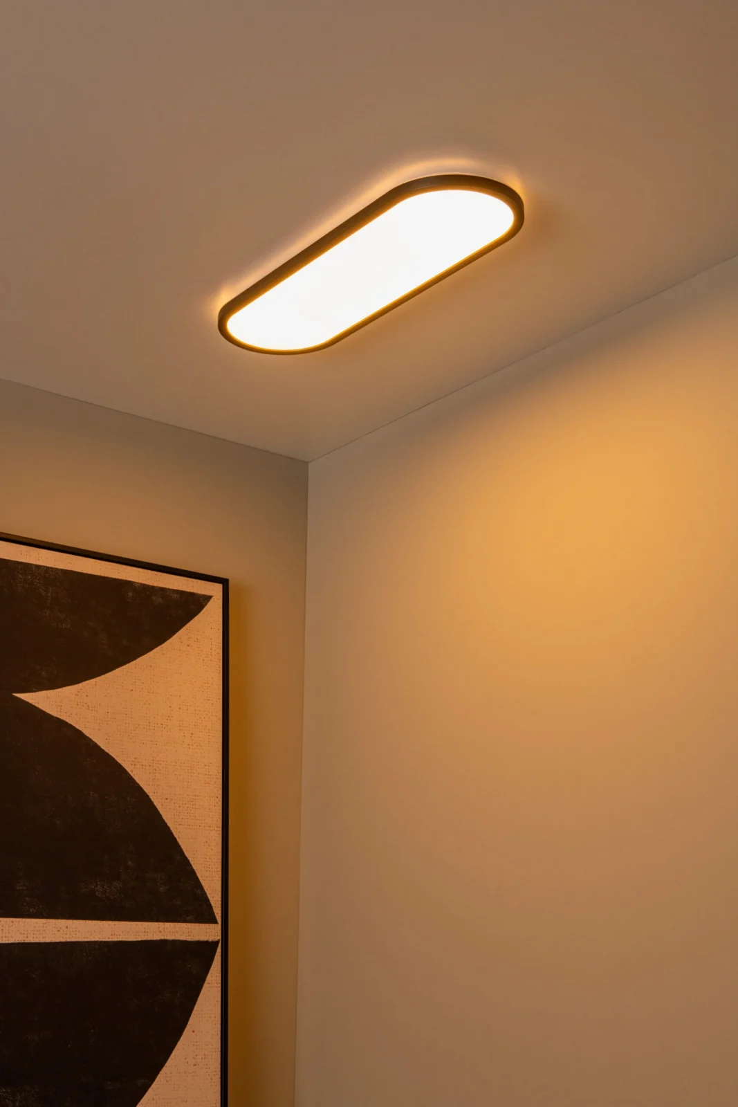 Lucide ELLY - Zapustenu00e9 stropnu00e9 svetlo - LED tlmenu00e9. - CCT - 1x24W 2700K/4000K - Opu00e1l | Essential