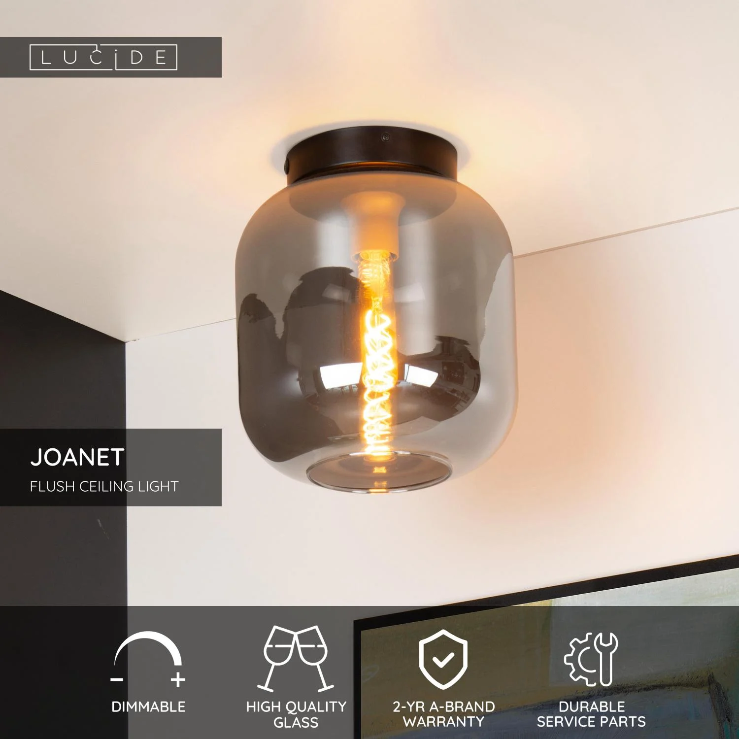 Lucide JOANET - Zapustenu00e9 stropnu00e9 svetlo - u00d8 25 cm - 1xE27 - Smoke Grey