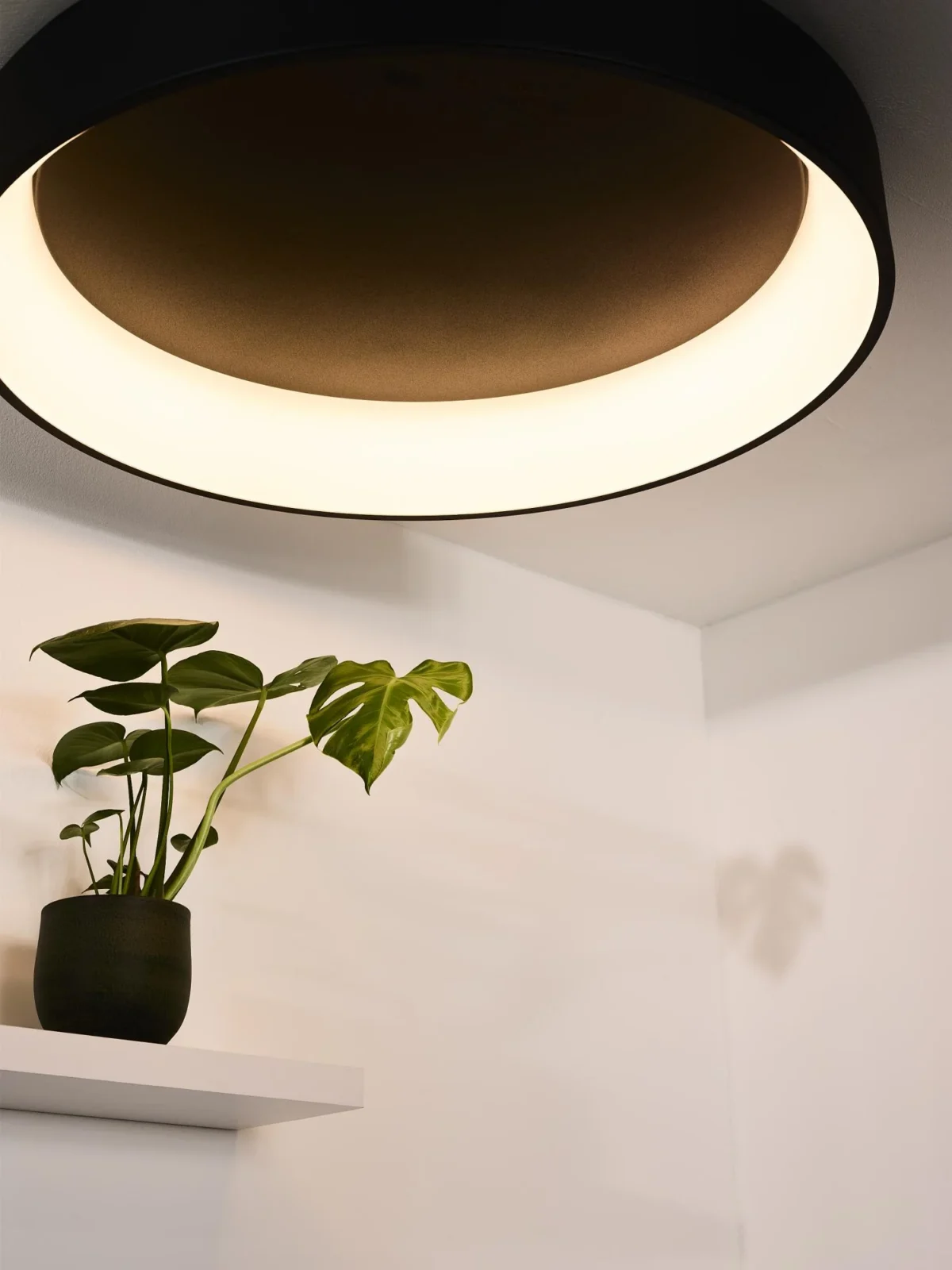 Lucide TALOWE LED - Zapustenu00e9 stropnu00e9 svetlo - u00d8 80 cm - LED tlmenu00e9 - 1x80W 3000K - u010dierne