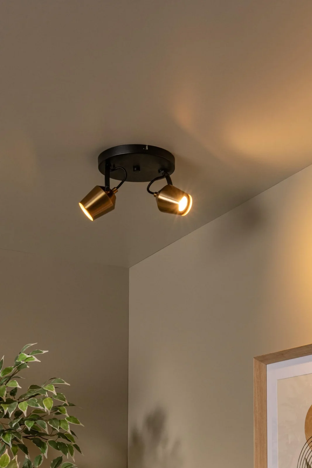 Lucide EMILE - Stropnu00e9 reflektory - u00d8 20 cm - 2xGU10 - Matt Gold / Brass