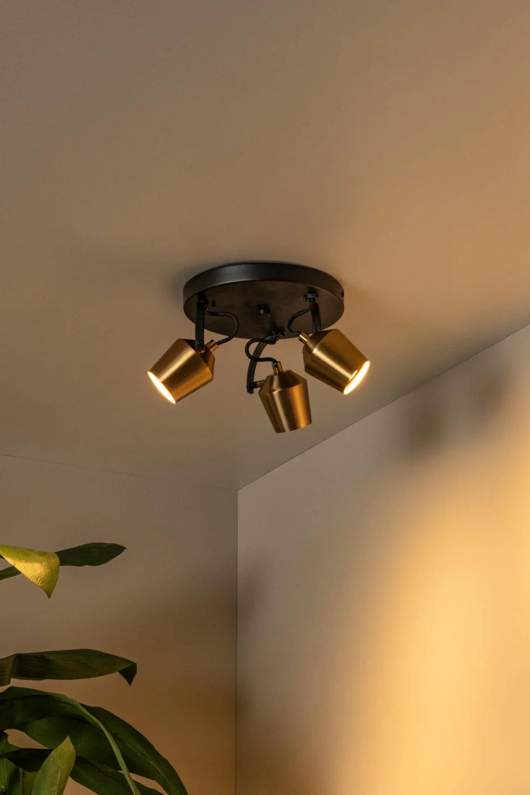 Lucide EMILE - Stropnu00e9 reflektory - u00d8 23 cm - 3xGU10 - Matt Gold / Brass