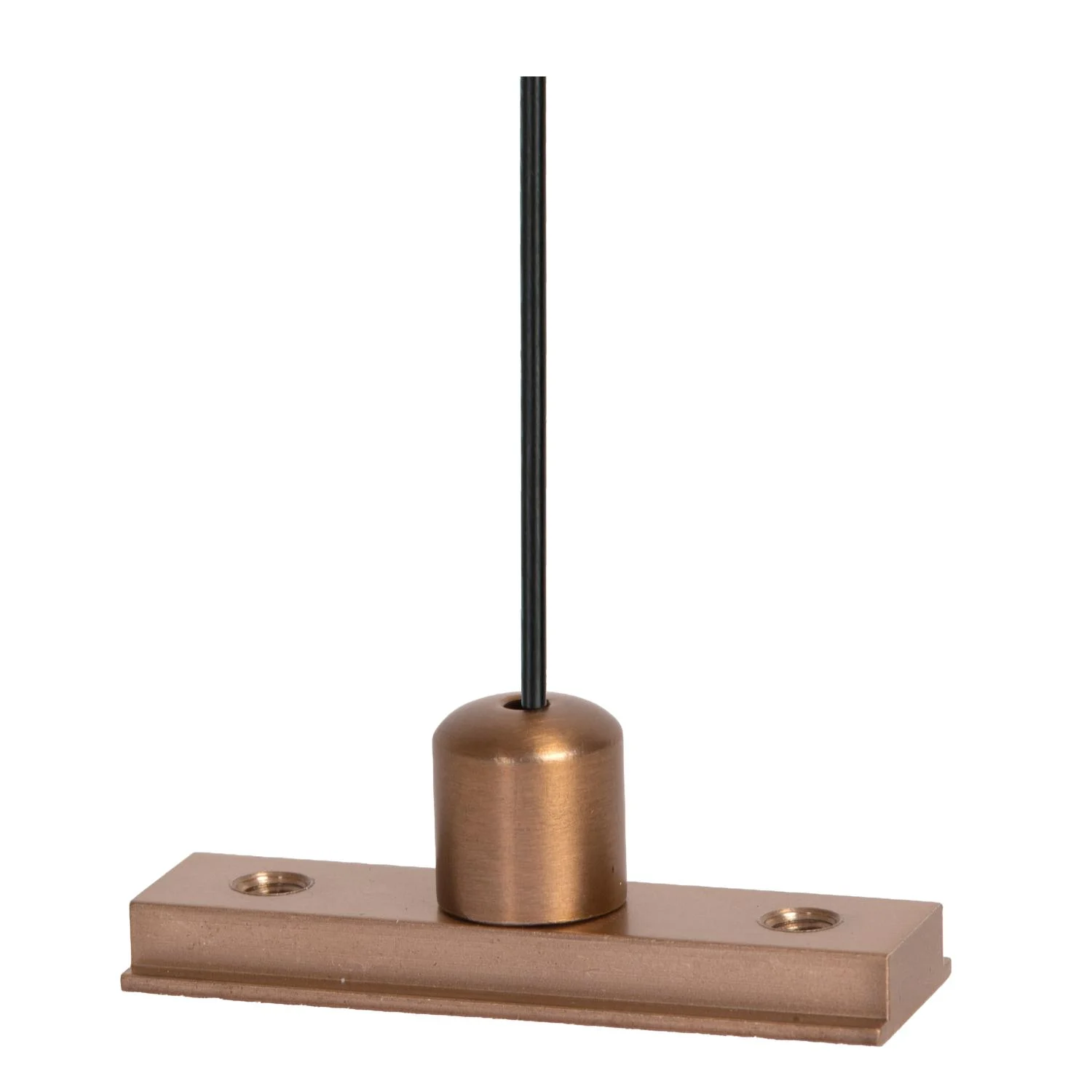 Lucide Premium LINIAL zavesenu00fd ku00e1bel - 1-okruhovu00fd osvetu013eovacu00ed systu00e9m - Smart - 48V kou013eajnica - Champagne