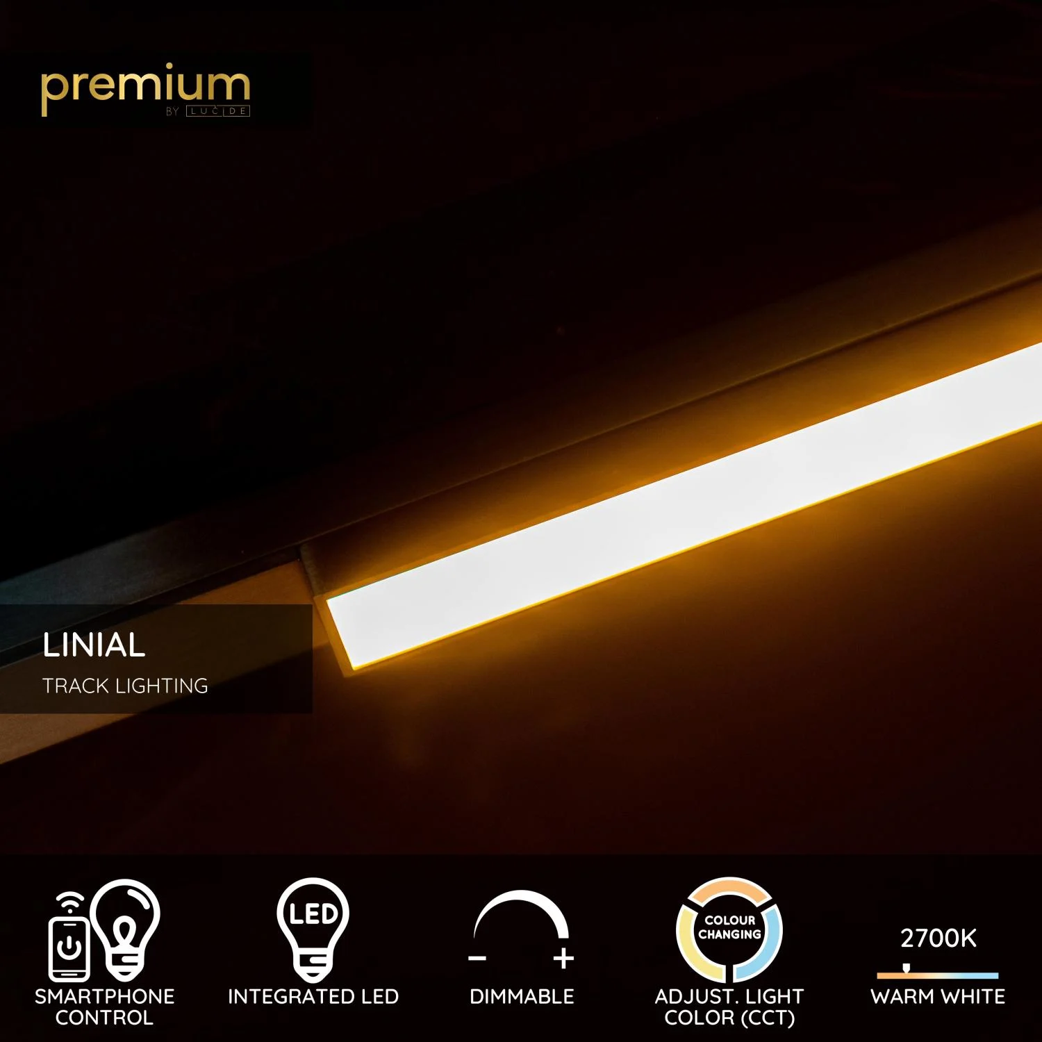 Lucide Premium LINIAL GLYX - 1-okruhovu00fd osvetu013eovacu00ed systu00e9m / Smart Rail Lighting - Smart - 48V kou013eaj - 1xLED - Champagne