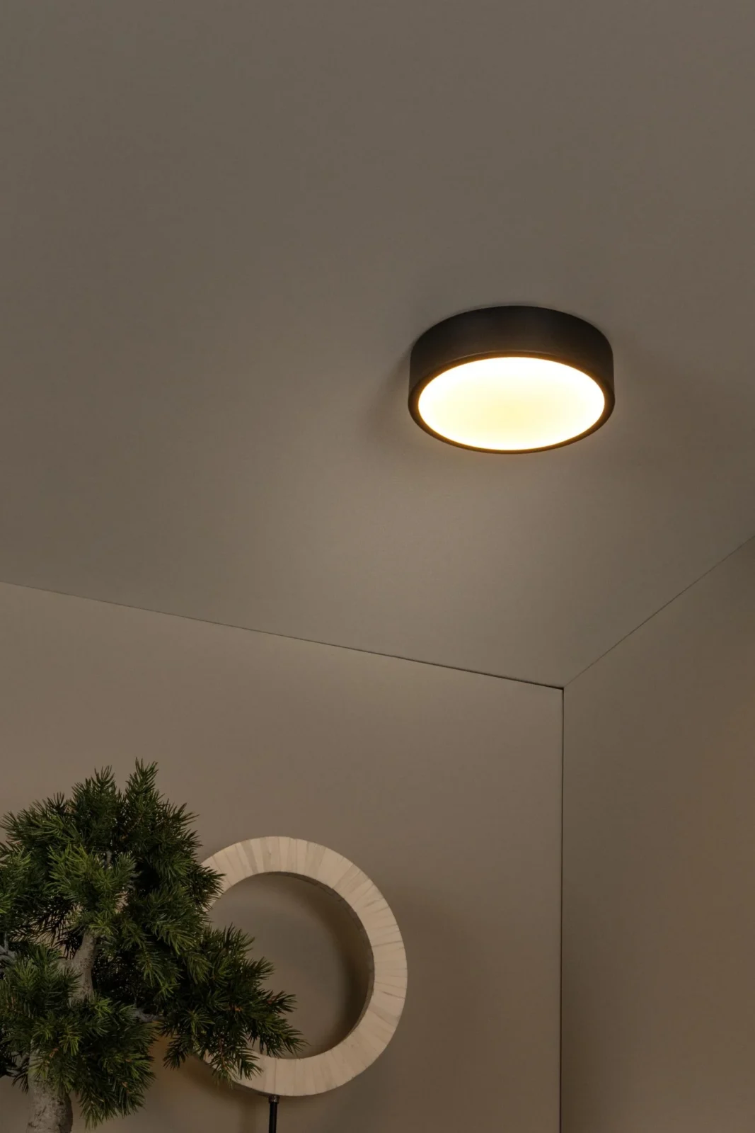 Lucide UNAR - Zapustenu00e9 stropnu00e9 svetlo - u00d8 20 cm - LED 3 StepDim - 1x12W 2700K - u010dierna