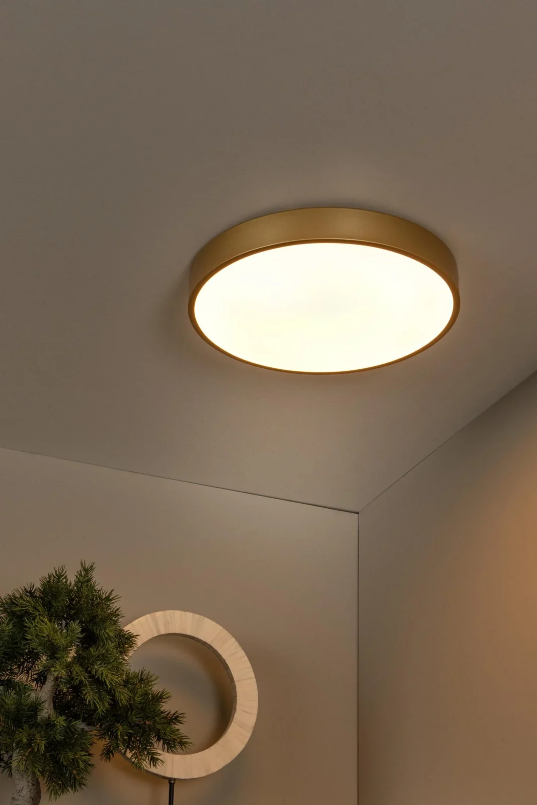 Lucide UNAR - Zapustenu00e9 stropnu00e9 svetlo - u00d8 39,5 cm - LED 3 StepDim - 1x24W 2700K - Matt Gold / Brass