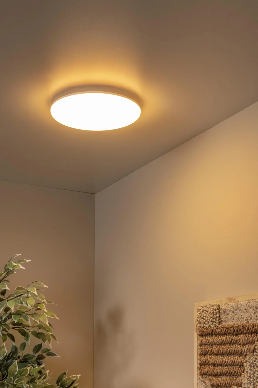Lucide OLSON - Spu00fau0161u0165acie stropnu00e9 svetlo Ku00fapeu013eu0148a - u00d8 29 cm - LED - CCT - 1x24W 3000K/6500K - IP44 - Opu00e1l