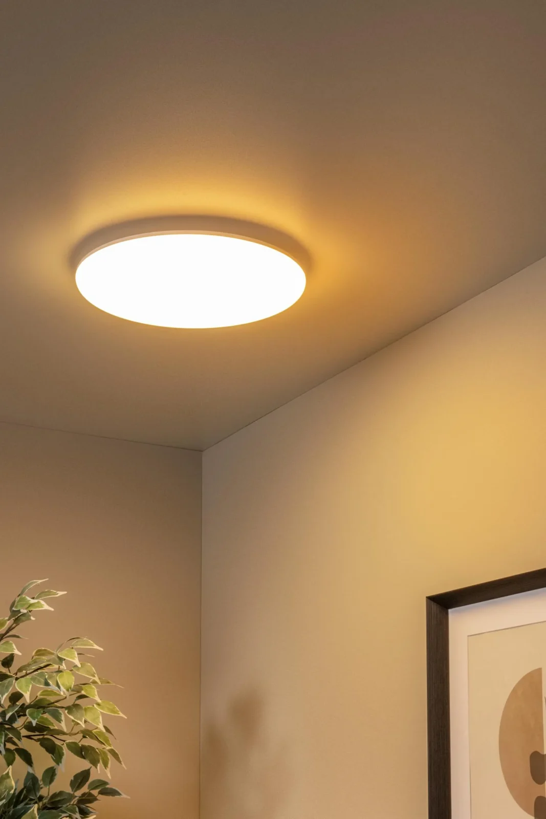 Lucide OLSON - Spu00fau0161u0165acie stropnu00e9 svetlo Ku00fapeu013eu0148a - u00d8 35 cm - LED - CCT - 1x36W 3000K/6500K - IP44 - Opu00e1l
