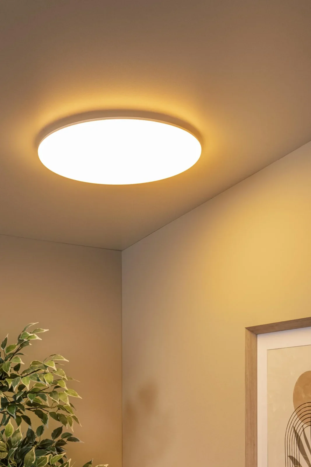 Lucide OLSON - Spu00fau0161u0165acie stropnu00e9 svetlo Ku00fapeu013eu0148a - u00d8 45 cm - LED - CCT - 1x45W 3000K/6500K - IP44 - Opu00e1l